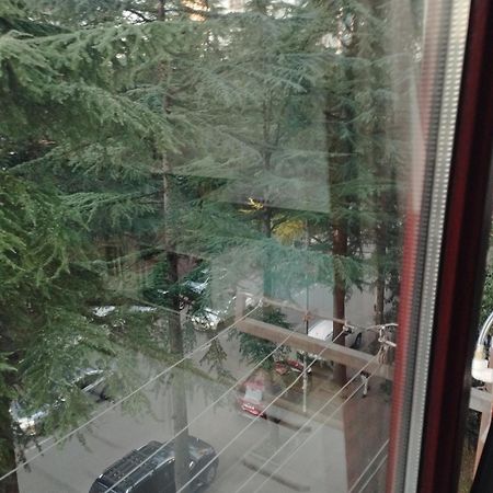 Apartment Ge Zvezda Batumi Bagian luar foto